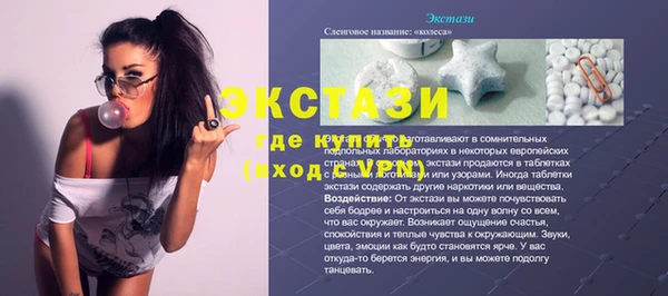 индика Костерёво
