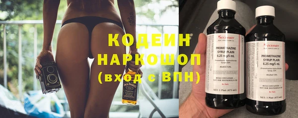 индика Костерёво