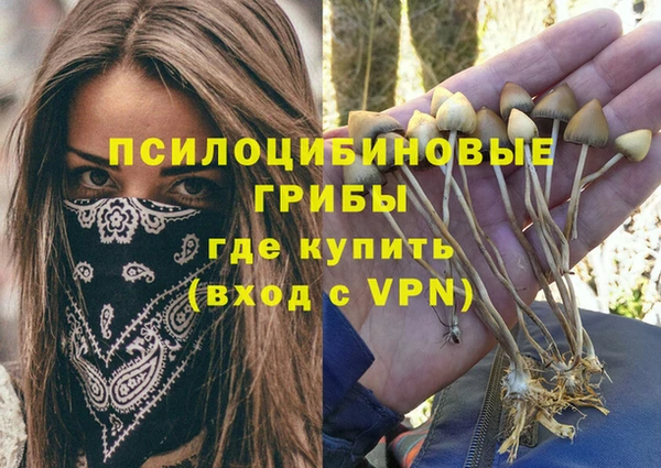 индика Костерёво