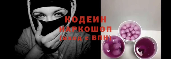 индика Костерёво