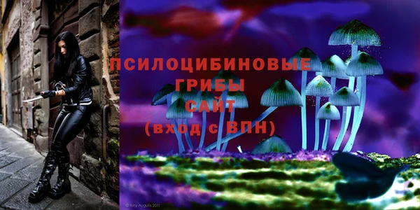 метадон Корсаков