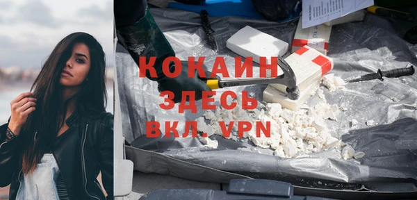 индика Костерёво