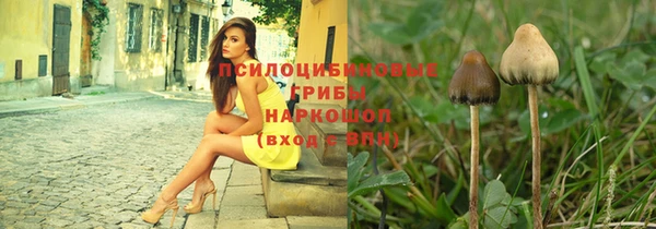 индика Костерёво