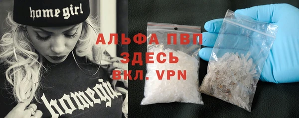 индика Костерёво