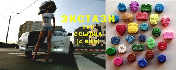 индика Костерёво