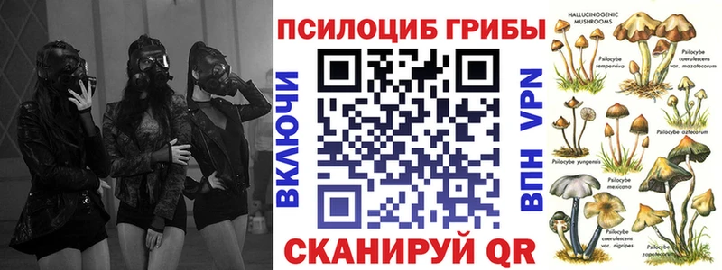 OMG tor  площадка состав  Галлюциногенные грибы Psilocybe  цены наркотик  Соликамск 