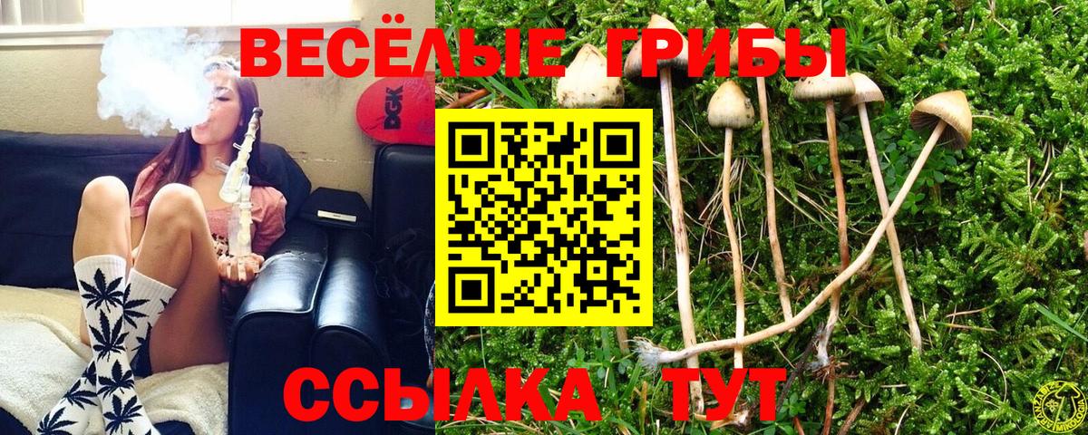 Галлюциногенные грибы GOLDEN TEACHER Соликамск